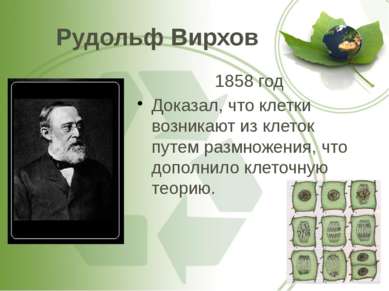 Рудольф Вирхов 1858 год Доказал, что клетки возникают из клеток путем размнож...