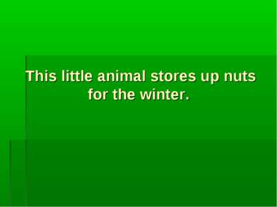 This little animal stores up nuts for the winter.