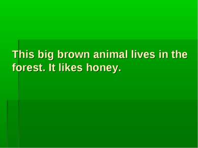 This big brown animal lives in the forest. It likes honey.