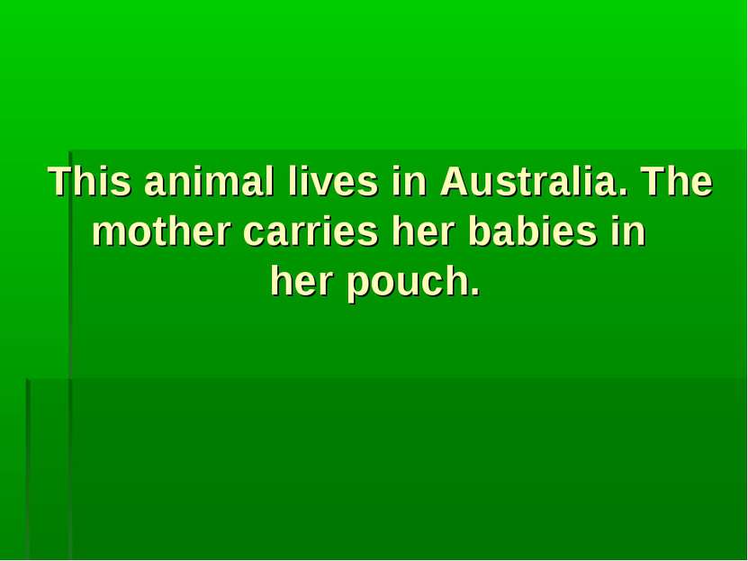 This animal lives in Australia. The mother carries her babies in her pouch.