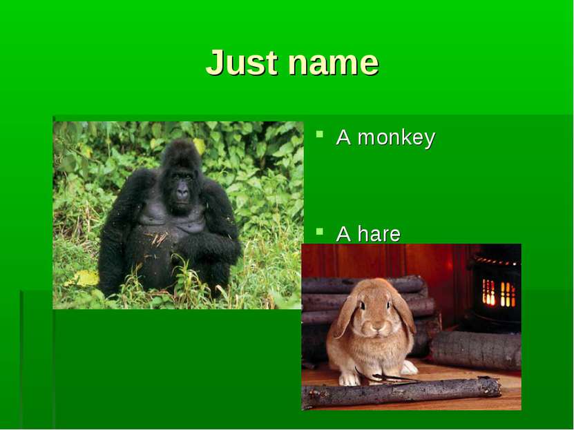 Just name A monkey A hare