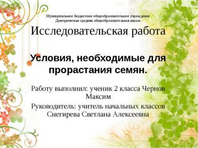 Муниципальное бюджетное общеобразовательное учреждение Дмитриевская средняя о...