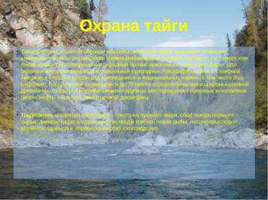 Охрана тайги Тайгу Евразии, главным образом массивы сибирской тайги, называют...