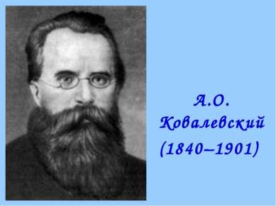 А.О. Ковалевский (1840–1901)