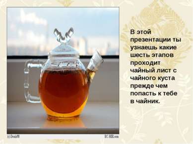 В этой презентации ты узнаешь какие шесть этапов проходит чайный лист с чайно...