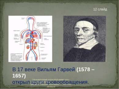 В 17 веке Вильям Гарвей (1578 – 1657) открыл круги кровообращения. 12 слайд О...