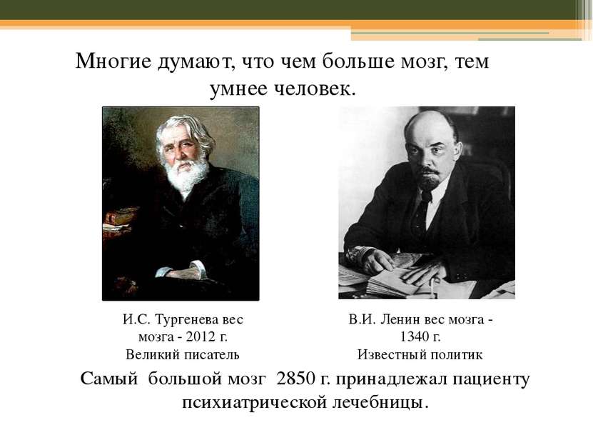 И.С. Тургенева вес мозга - 2012 г. Великий писатель В.И. Ленин вес мозга - 13...