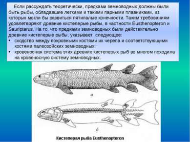Если рассуждать теоретически, предками земноводных должны были быть рыбы, обл...