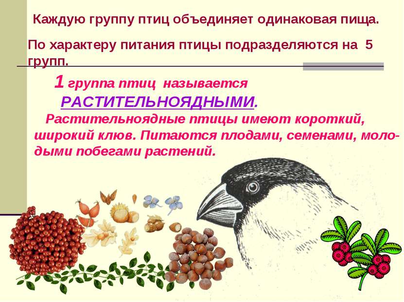 Каждую группу птиц объединяет одинаковая пища. 1 группа птиц называется РАСТИ...