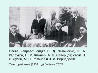 Слева направо: сидят Н. Д. Зелинский, И. А. Каблуков, Н. М. Кижнер, А. Н. Сев...