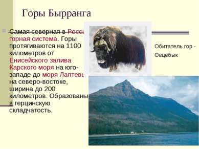 Горы Бырранга Самая северная в России горная система. Горы протягиваются на 1...