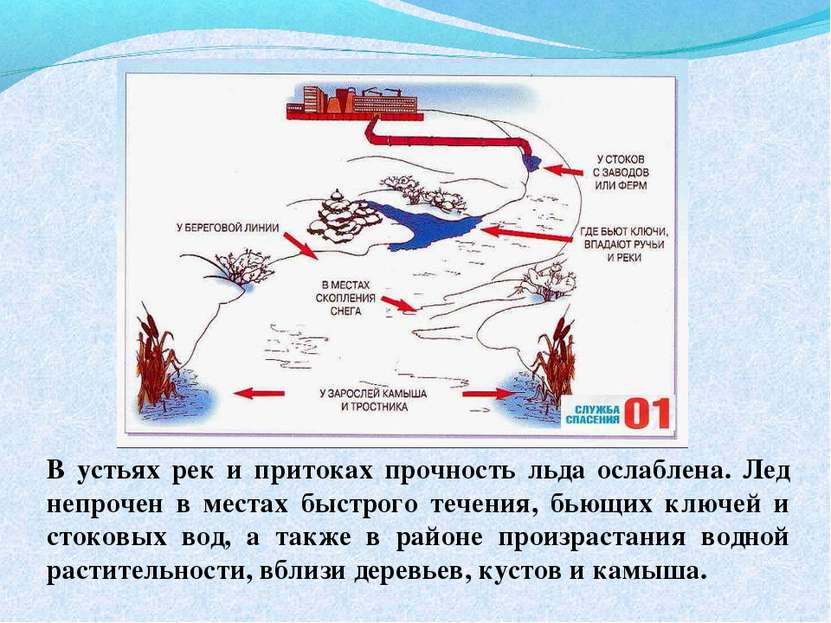 В устьях рек и притоках прочность льда ослаблена. Лед непрочен в местах быстр...