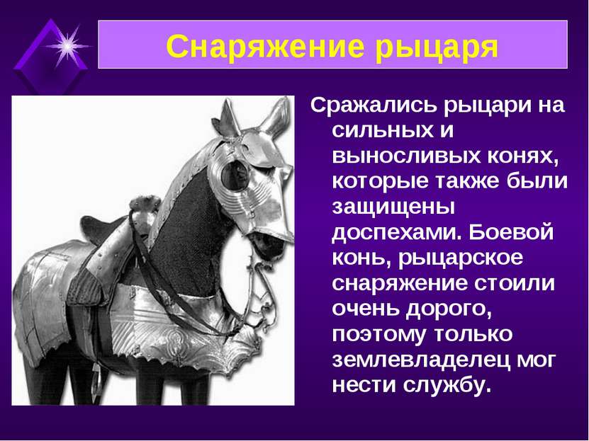 Сражались рыцари на сильных и выносливых конях, которые также были защищены д...