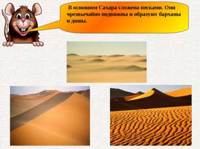 В основном Сахара сложена песками. Они чрезвычайно подвижны и образуют бархан...