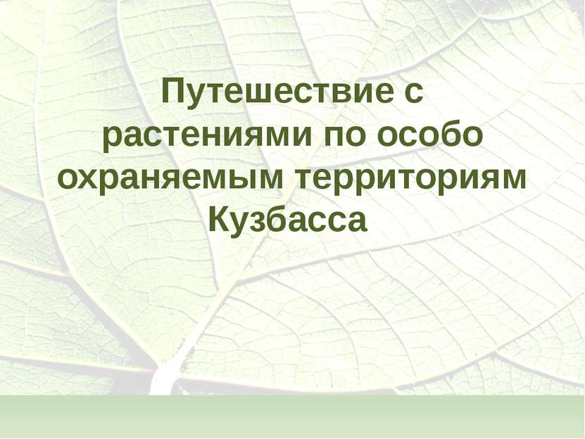 Путешествие с растениями по особо охраняемым территориям Кузбасса