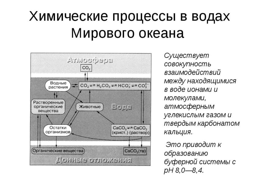 Химические процессы в водах Мирового океана Существует совокупность взаимодей...