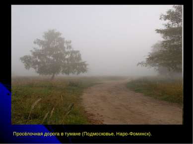 Просёлочная дорога в тумане (Подмосковье, Наро-Фоминск).