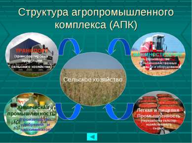 Структура агропромышленного комплекса (АПК) Сельское хозяйство ТРАНСПОРТ (тра...