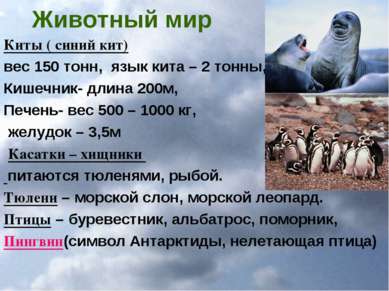 Животный мир Киты ( синий кит) вес 150 тонн, язык кита – 2 тонны, Кишечник- д...