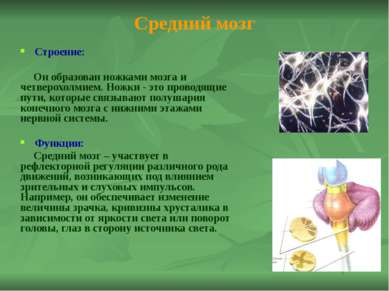 Закрепление новой темы 1. Подпиши отделы; 2. Своя игра -раунд 2; 3. Выполни т...