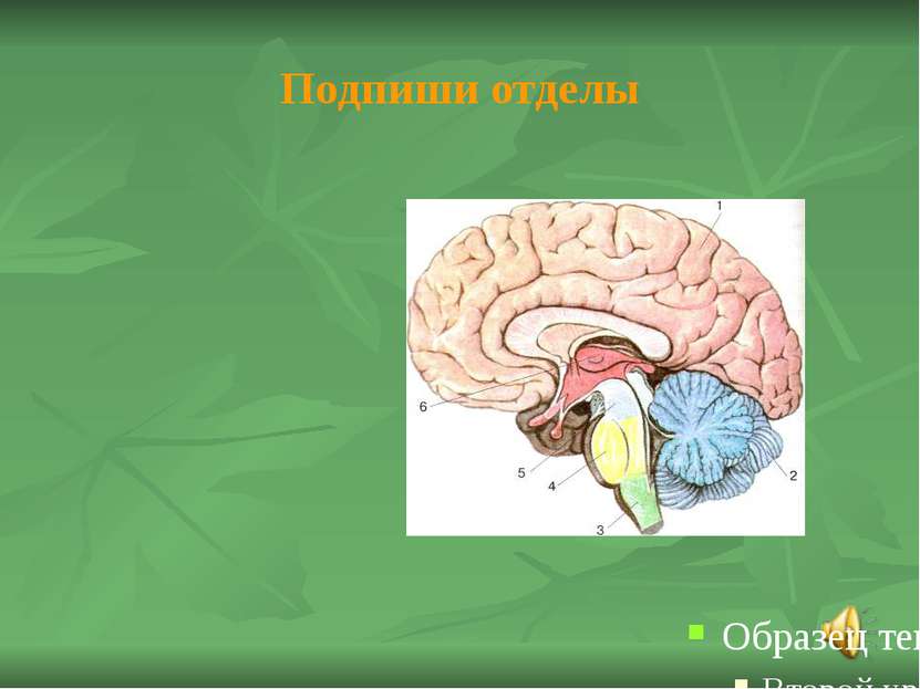 Проверь соседа и поставь баллы Вариант №1 В В Б Б Вариант №2 В Б В А 1 балл з...