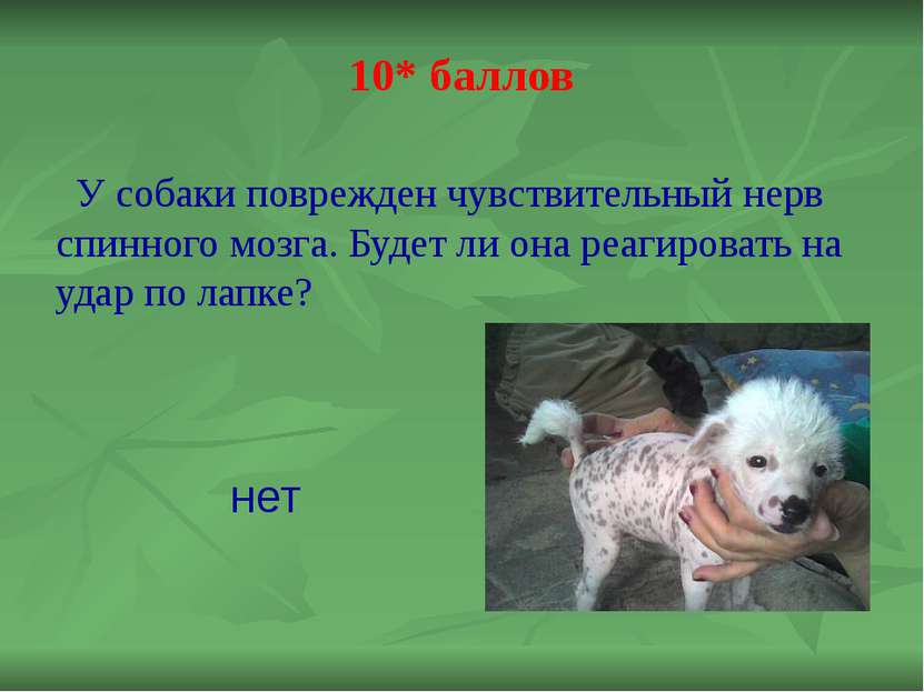 40 баллов В клинике лежит человек, у которого в одном из отделов опухоль. Лиц...