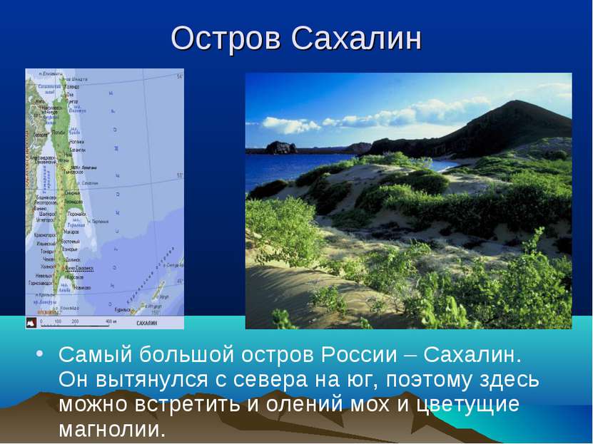 Остров Сахалин Самый большой остров России – Сахалин. Он вытянулся с севера н...