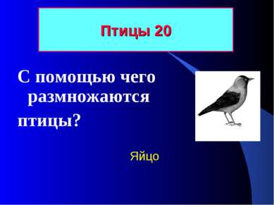 Птицы 20 С помощью чего размножаются птицы? Яйцо