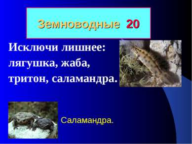 Земноводные 20 Исключи лишнее: лягушка, жаба, тритон, саламандра. Саламандра.