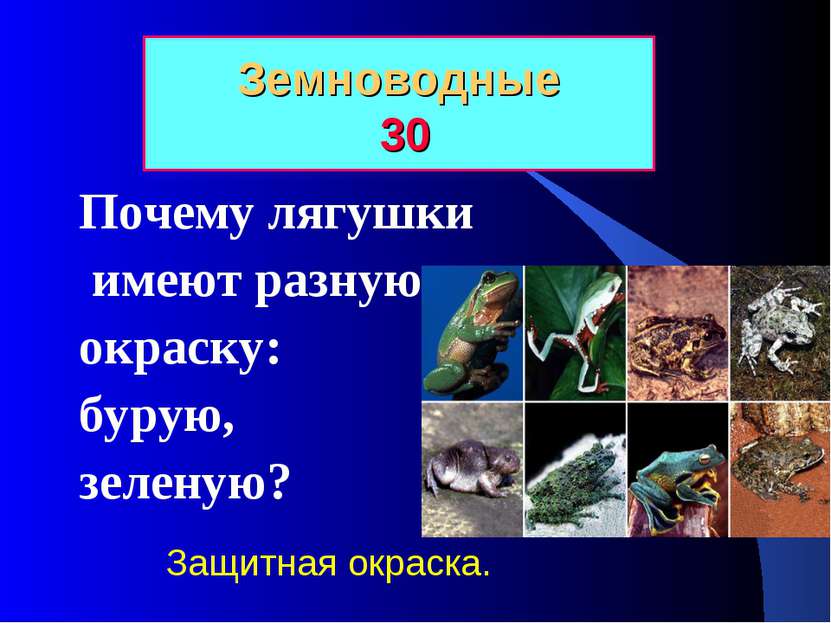 Земноводные 30 Почему лягушки имеют разную окраску: бурую, зеленую? Защитная ...