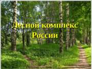 Лесной комплекс России