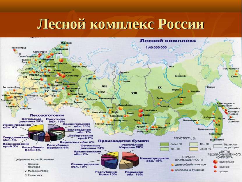 Лесной комплекс России
