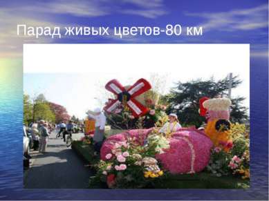 Парад живых цветов-80 км