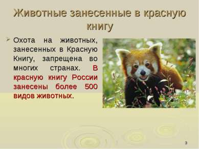 * Животные занесенные в красную книгу Охота на животных, занесенных в Красную...