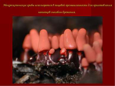 Микроскопические грибы используются в пищевой промышленности для приготовлени...