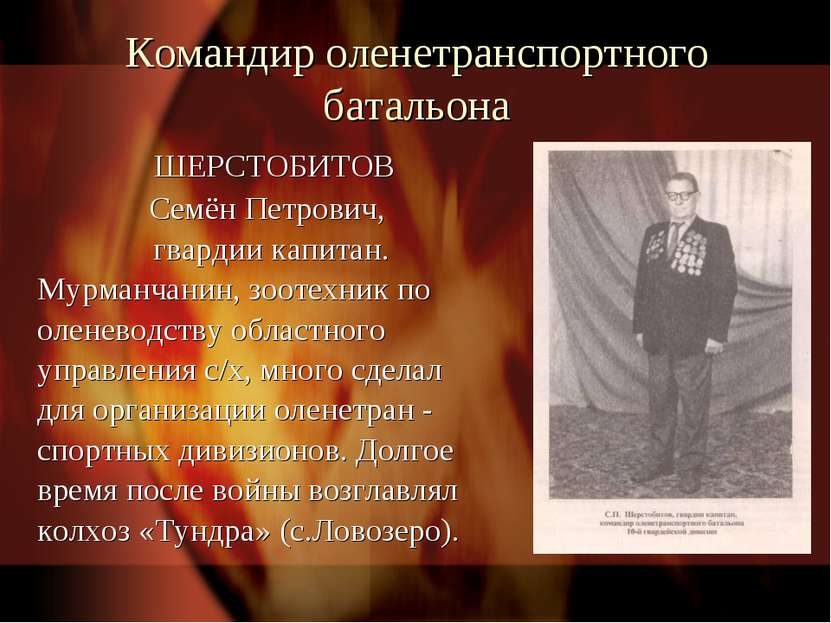 Командир оленетранспортного батальона ШЕРСТОБИТОВ Семён Петрович, гвардии кап...