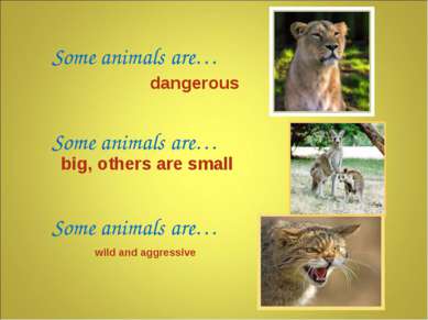 Some animals are… Some animals are… Some animals are… dangerous wild and aggr...