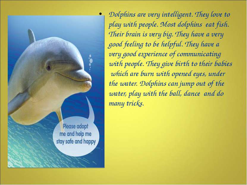 Dolphins are very intelligent. They love to play with people. Most dolphins e...