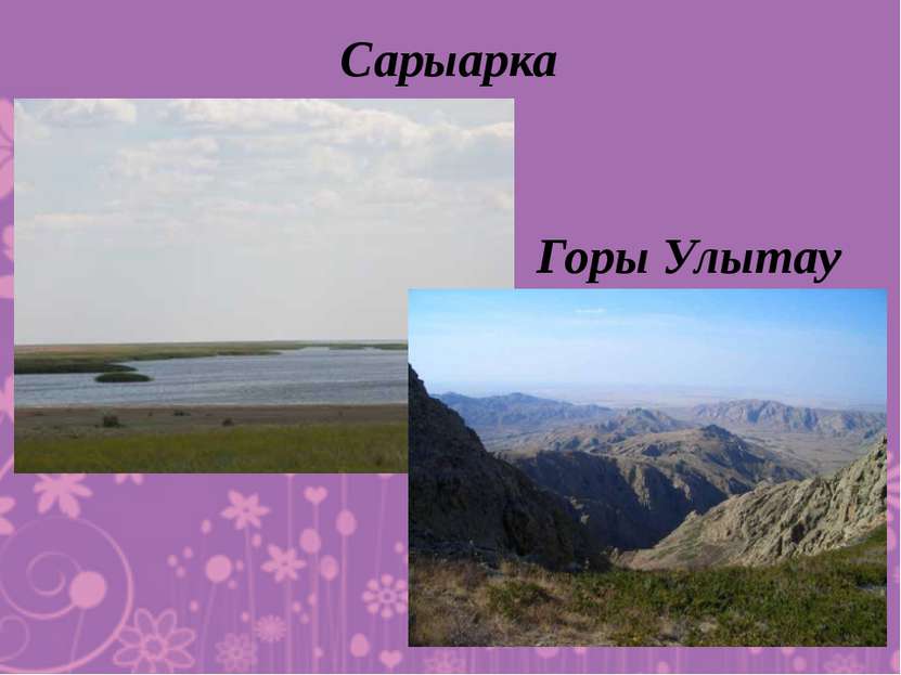 Сарыарка Горы Улытау