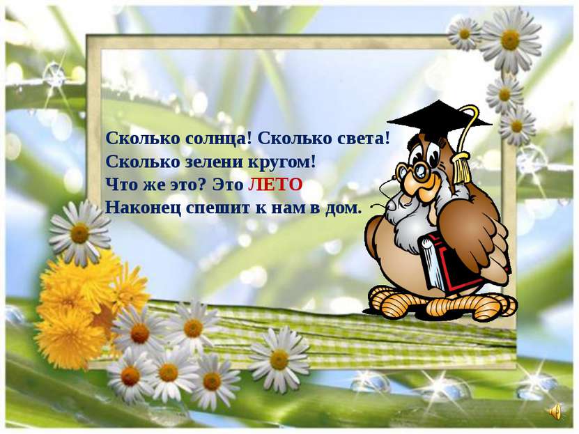 Сколько солнца! Сколько света! Сколько зелени кругом! Что же это? Это ЛЕТО На...