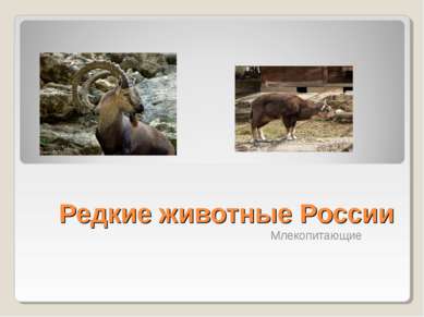 Редкие животные России Млекопитающие