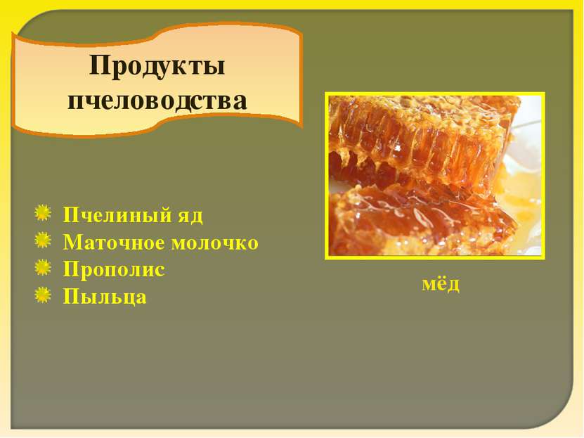 Продукты пчеловодства мёд Пчелиный яд Маточное молочко Прополис Пыльца