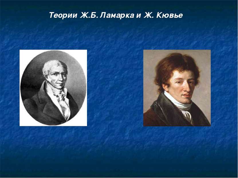 Теории Ж.Б. Ламарка и Ж. Кювье