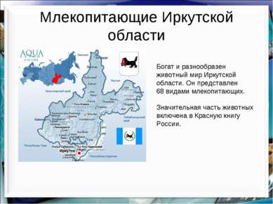 Млекопитающие Иркутской области Богат и разнообразен животный мир Иркутской о...