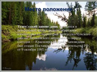 Тунгу сский запове дник находится в центральной части Средне-Сибирского плоск...
