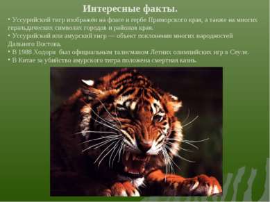 Интересные факты. Уссурийский тигр изображён на флаге и гербе Приморского кра...