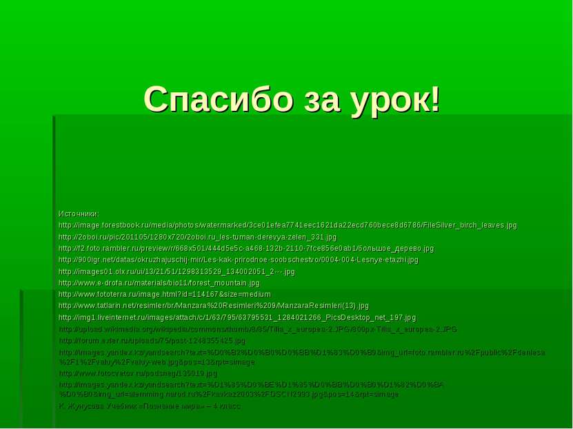 Спасибо за урок! Источники: http://image.forestbook.ru/media/photos/watermark...