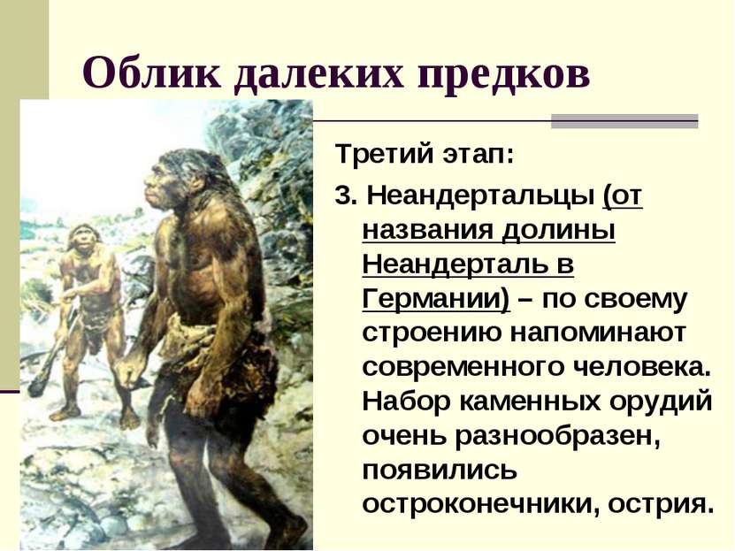 Облик далеких предков Третий этап: 3. Неандертальцы (от названия долины Неанд...