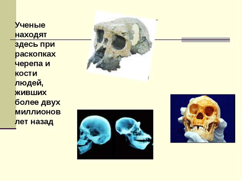 Ученые находят здесь при раскопках черепа и кости людей, живших более двух ми...