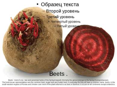 Beets . Beets - kind of one-, two-and perennial herbs of the familyAmaranth (...